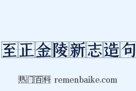 至正金陵新志造句是什么意思的图片